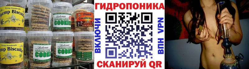 купить наркоту  Высоковск  Cannafood конопля 