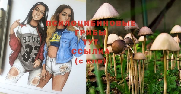 ПСИЛОЦИБИНОВЫЕ ГРИБЫ Верея