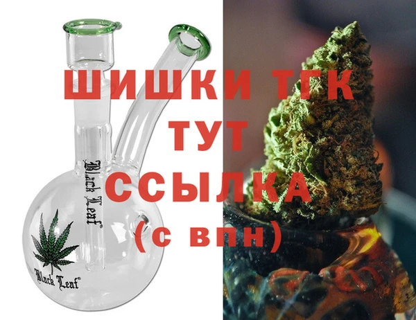 apvp Гатчина
