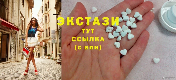 apvp Гатчина