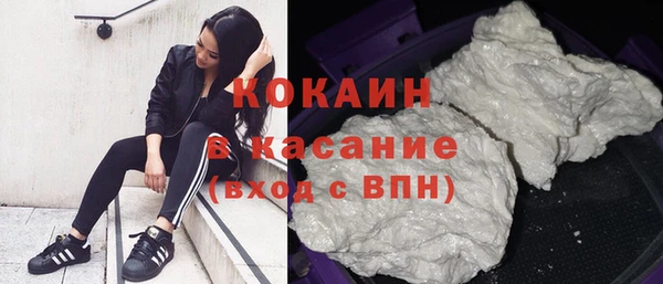 прущие грибы Гвардейск